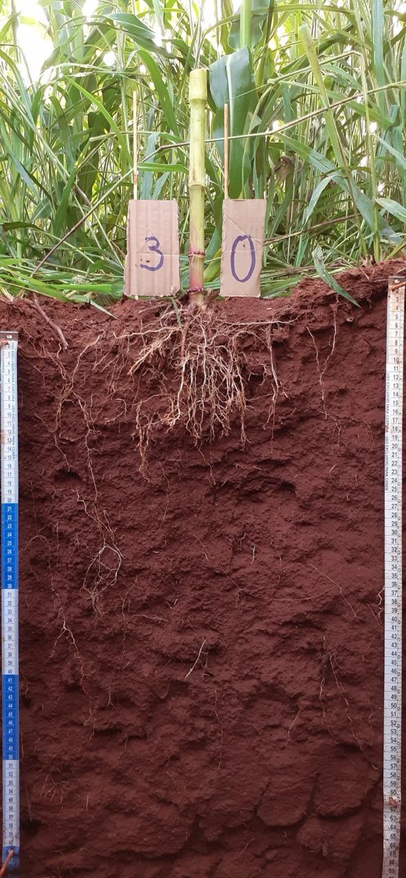 WhatsApp Image 2025 08 29 at 18.18.04