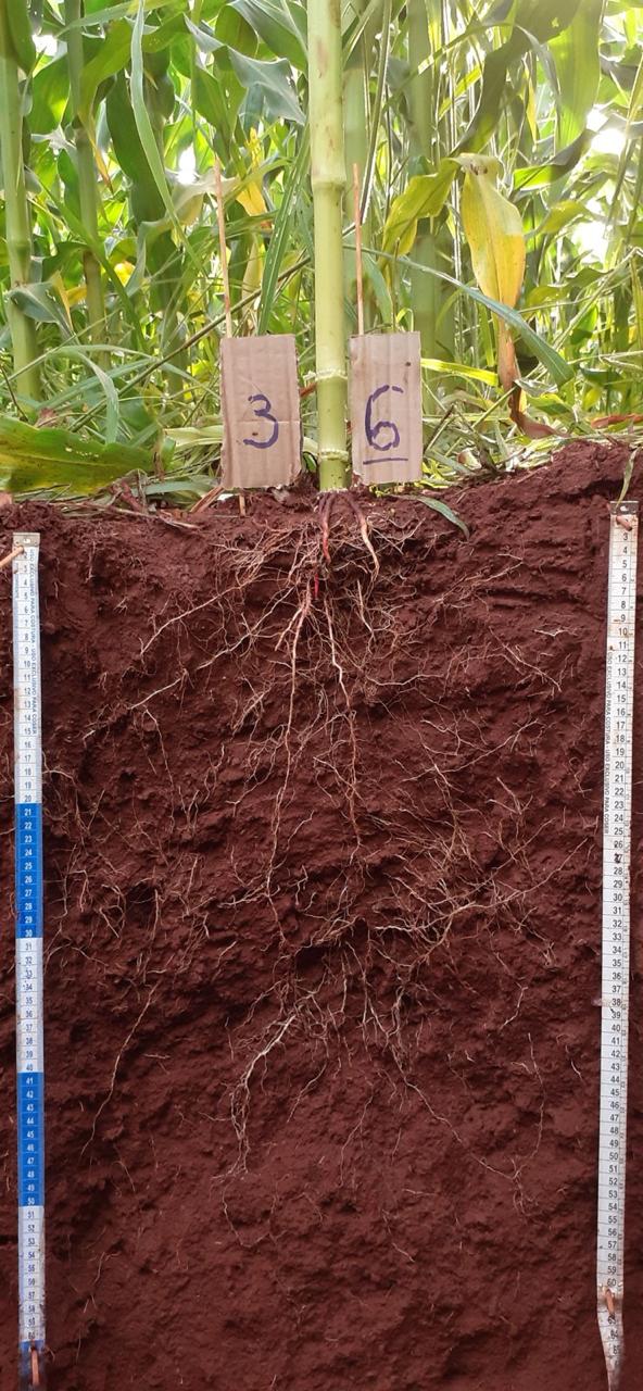 WhatsApp Image 2025 08 29 at 18.18.05