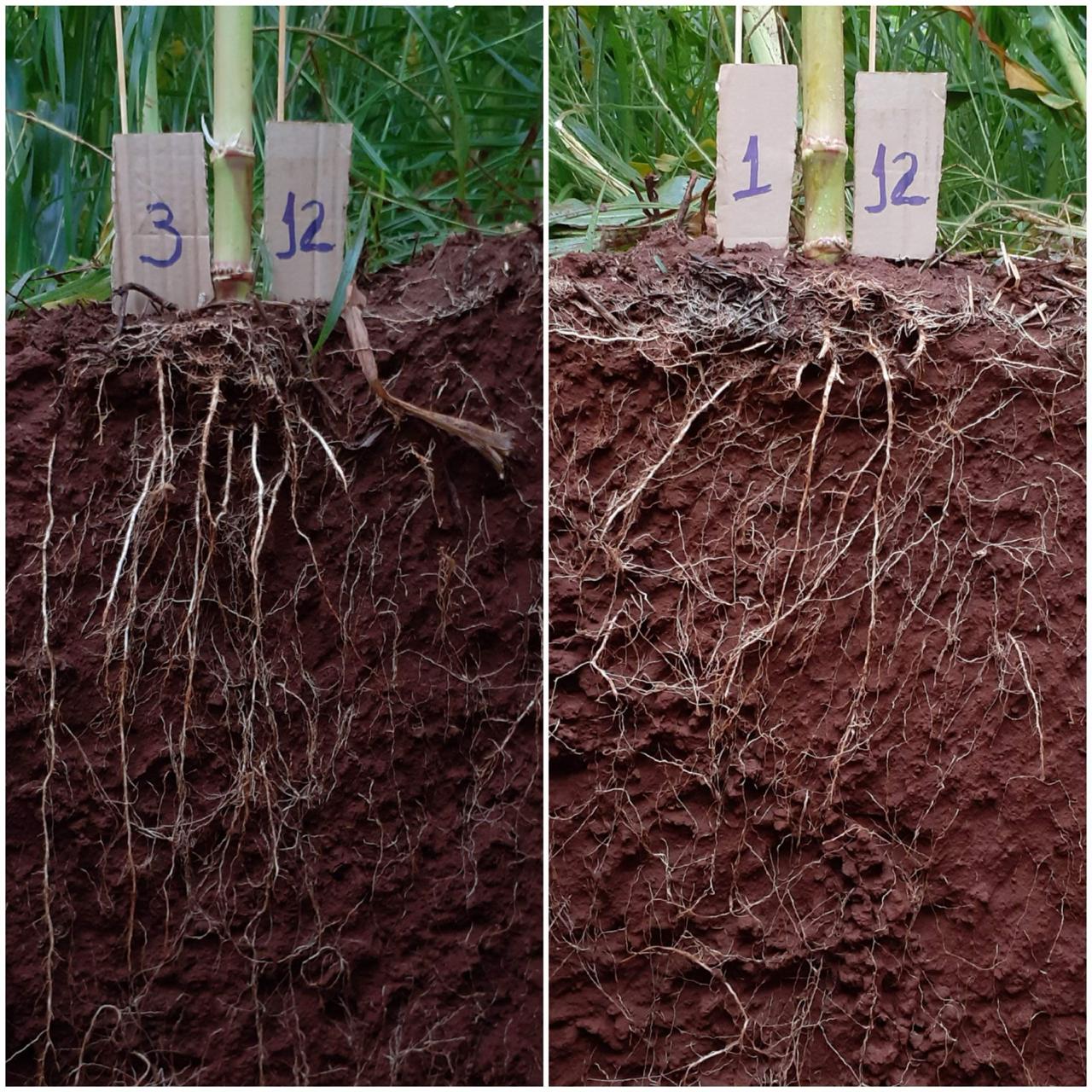 WhatsApp Image 2025 08 29 at 18.21.42 1