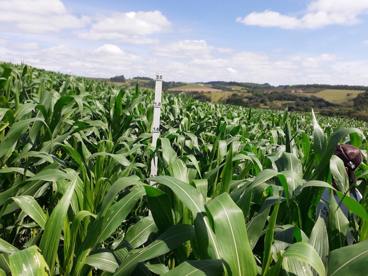 WhatsApp Image 2025 08 29 at 18.23.29