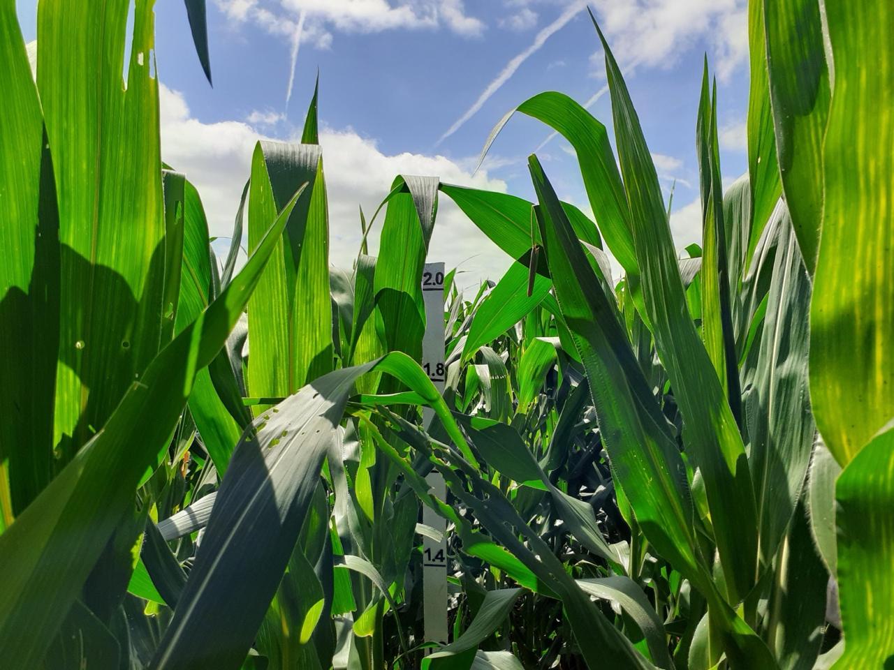 WhatsApp Image 2025 08 29 at 18.23.55