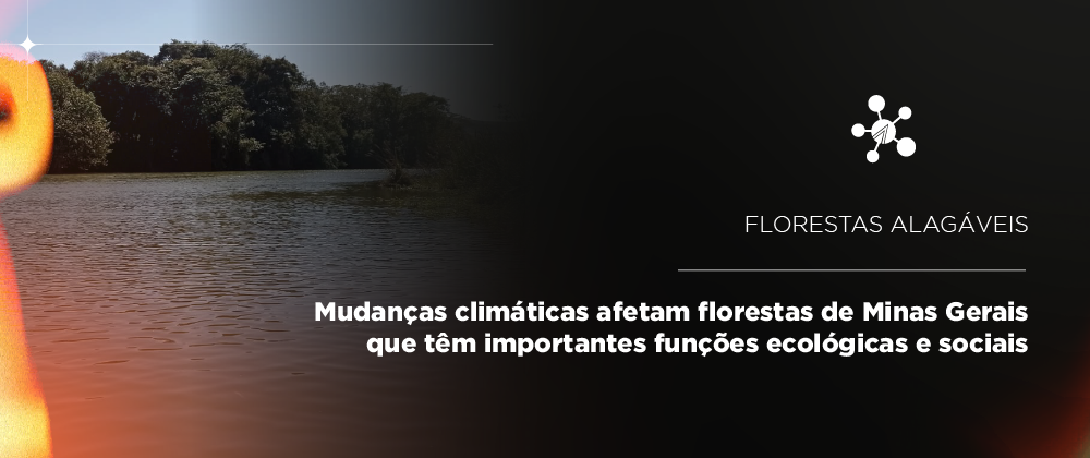 Mudanças climáticas afetam florestas alagáveis de Minas Gerais que têm importantes funções ecológicas e sociais