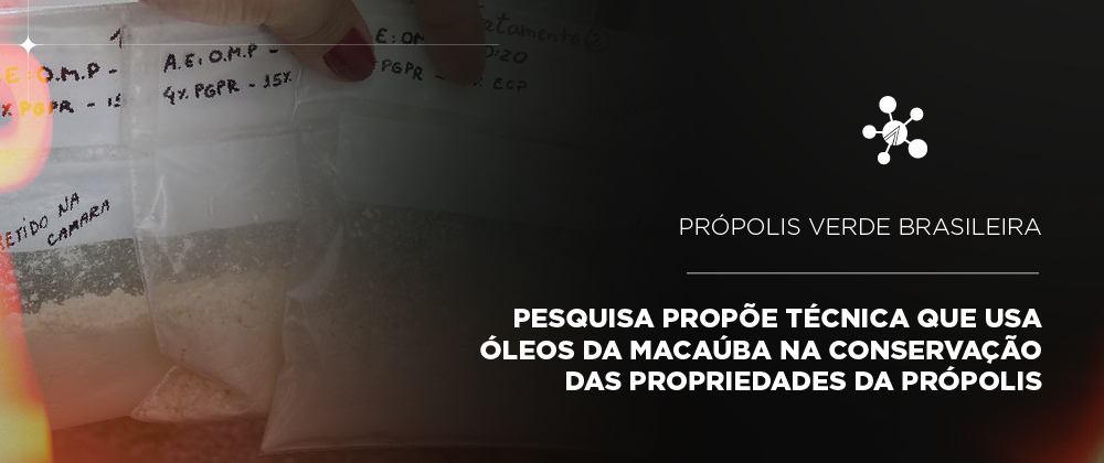 Pesquisa da UFLA propõe técnica que usa óleos da macaúba na conservação das propriedades da própolis e potencializa a sua utilização