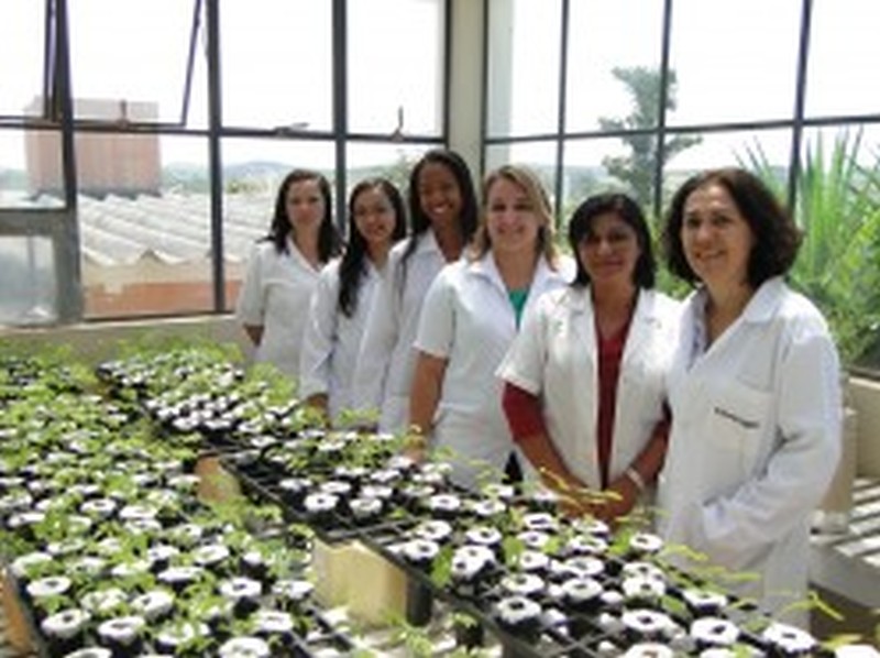  Equipe da professora Fátima Moreira no Departamento de Ciência do Solo