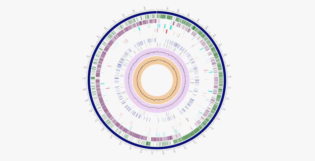 genoma sequenciado jpeg